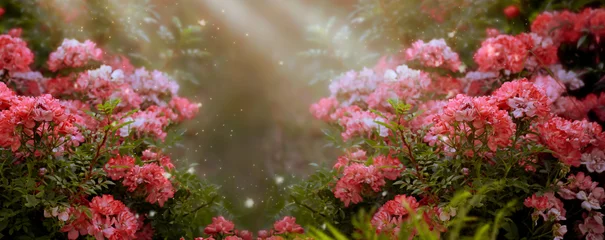 Foto op Aluminium Fantasy roses flowers garden in enchanted fairy tale dreamy elf forest with fabulous fairytale blooming lush thickets in early morning on mysterious background, magical wide panoramic banner. © julia_arda