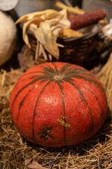 Ripe pumpkin. Rustic still life with pumpkin and hay.