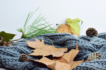 Autumn concept, dry leaves and pine cones on a natural wool blanket.