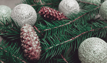 Christmas card background with pine branch and cone