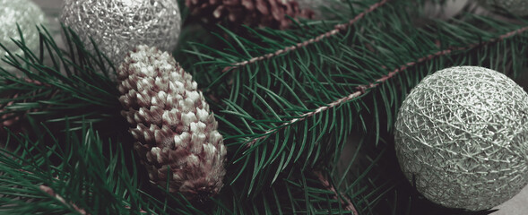 Christmas banner concept with pine branches