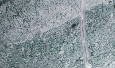 Abstract green marble tile texture background