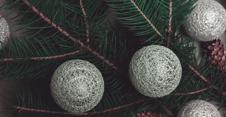 Christmas decor and branches for celebrate background