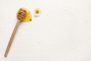 Dipper with sweet honey and chamomile flower on light background