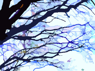 Tree branches against the sky for creative autumn compositions. Tree trunk and interwoven branches for prints and textures, wallpaper and posters, covers, fabric products, etc.