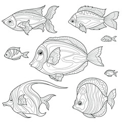Fish set. Black and white sketch.Coloring book antistress for children and adults. Illustration isolated on white background.Zen-tangle style. Hand draw