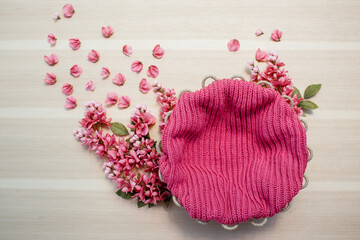 Pink flowers with nest. Digital photography background