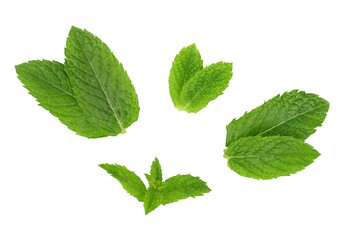 Mint leaves isolated on a white background. Top view.