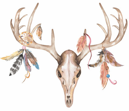 Watercolor hand drawn Boho Clipart, Deer Antlers illustration with feathers.