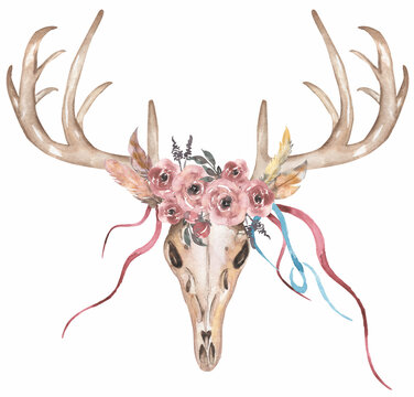 Watercolor hand drawn Boho Clipart, Deer Antlers illustration with feathers and flowers.