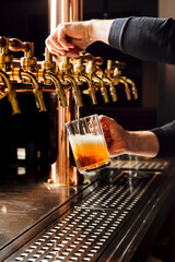 A professional bartender drafting beer in a pub