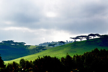 Fototapeta na wymiar view of the hills of region