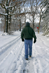 Fototapeta na wymiar A Snowy Walk in Winter