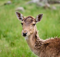 Deer Valley