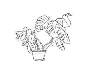 Monstera in a pot with a black outline. Vector illustration