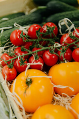 Fresh vegetables at the market, yellow tomatoes, a branch of cherry tomatoes and cucumbers