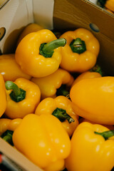 Close up of fresh organic yellow peppers