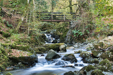 Small waterfall passing under wooden bridge in the grounds of Rydal House Lake District Cumbria.