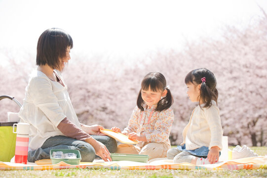 桜の下でお弁当を食べる女の子の姉妹とお母さん