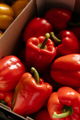 Red bell peppers (capsicum) in the bx at the market