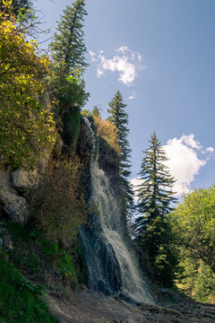 Bluff Springs Waterfall