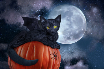 Black cat with bat wings. Full moon, and spiders, pumpkins, cloudy sky. Gothic dark abstraction for invitations or advertisements, posters, for Halloween All Saints Day