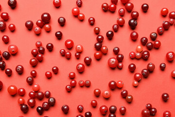 Tasty fresh cranberries on color background