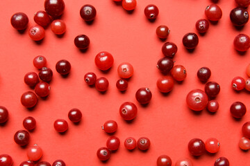 Tasty fresh cranberries on color background