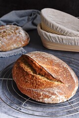 Homemade sourdough bread on the grey background