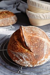 Homemade sourdough bread on the grey background