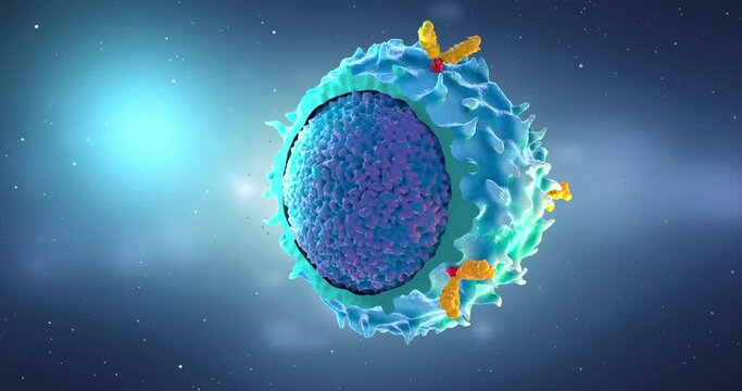 Flight around lymphocyte, type of white blood cell in the immune system - 3d illustration