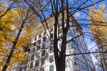 Fototapete bei efototapeten.de bestellen   