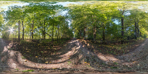 360 hdri panorama among old poplar grove with gnarled branches in forest or alley in...