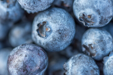 Close-up shot of delicious blueberries