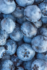 Close-up shot of delicious blueberries