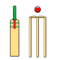 cricket set bat stumps bails and ball