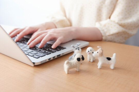 犬の人形とパソコンで検索をする女性