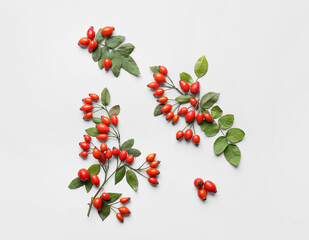 Composition with fresh rose hip berries and leaves on white background