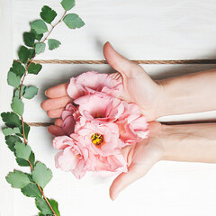 Female hands with eustoma flowers on a white background.