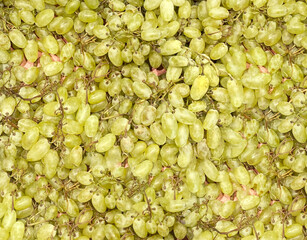  fresh green grapes for sale in market . grape texture. Seedless grape variety