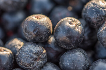 Close-up macro shot of delicious and dark coloured chokeberries also known as Aronia