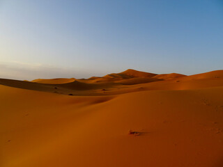 Fototapeta na wymiar The Moroccan Desert