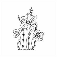 Single doodle element hand drawn flower for coloring, design, poster, invitation, postcard. Black and white vector image