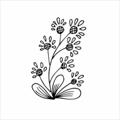 Hand drawn flower, single doodle element  for coloring, design, poster, invitation, postcard. Black and white vector image