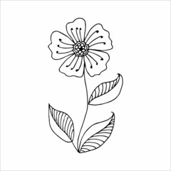 Hand drawn flower, single doodle element  for coloring, design, poster, invitation, postcard. Black and white vector image