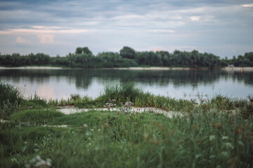 summer landscape with a pond, river or lake, sandy path, beautiful blue sky, trees reflected in the water, grass and flowers on the shore