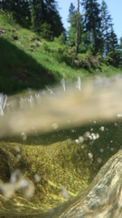 Unterwasseraufnahme Alpen