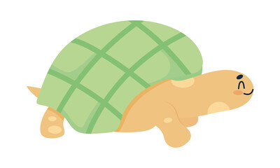 cute turtle icon