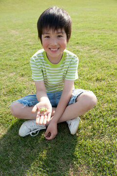 公園の芝生に座って手にカエルを乗せる男の子