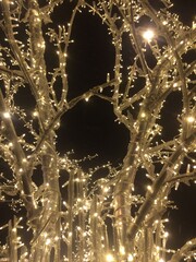 christmas tree lights